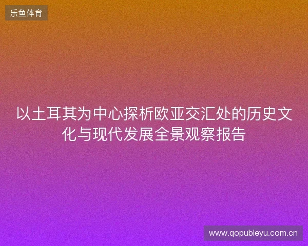 以土耳其为中心探析欧亚交汇处的历史文化与现代发展全景观察报告 以土耳其为中心探析欧亚交汇处的历史文化与现代发展全景观察报告