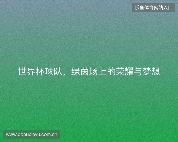 世界杯球队，绿茵场上的荣耀与梦想