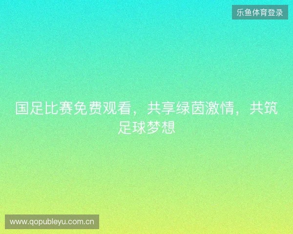 国足比赛免费观看，共享绿茵激情，共筑足球梦想