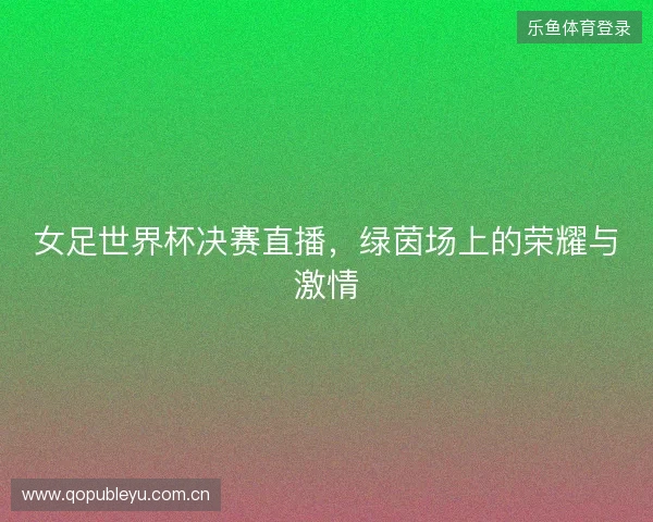 女足世界杯决赛直播，绿茵场上的荣耀与激情
